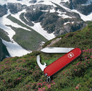 Victorinox Swiss Army Knife - Bantam - 8 Functions 84 mm Red