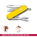Victorinox Swiss Army Knife - 7 Function, Multitool with a Pair of Scissors - Sunny Side, 58 mm