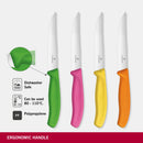 Victorinox Swiss Classic Stainless Steel Kitchen Knife Set-4 Pc with Storage Block, Multicolour