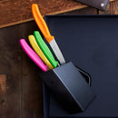 Victorinox Swiss Classic Stainless Steel Kitchen Knife Set-4 Pc with Storage Block, Multicolour