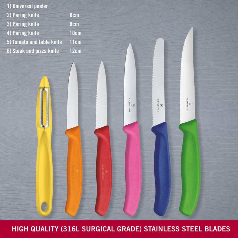 Victorinox Swiss Classic Stainless Steel Kitchen Knife Set-6 Pc with Storage Block, Multicolour