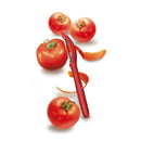 Victorinox Swiss Made Swiss Classic Kitchen Knife Set of 2-Straight Edge Knife & Universal Peeler,Red