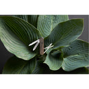 Victorinox Classic SD Wood Swiss Army Knife 58 mm, Walnut Wood