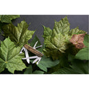 Victorinox Hiker Wood, 91 Mm, Walnut Wood