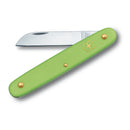 Victorinox Floral Knife Light Green Blister
