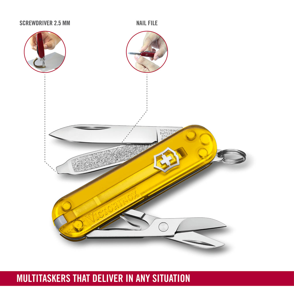 Stainless Steel Nail Clip, with Ring, Victorinox India | Ubuy