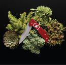 Victorinox Hunter Pro Alox Swiss Army Knife 4 Functions 136 mm Red