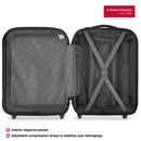 Wenger Static Carry-on Hardside Suitcase, 33 Litres, Silver, Swiss designed