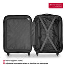 Wenger Static Carry-on Hardside Suitcase, 33 Litres, Gold, Swiss designed
