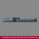 Victorinox Swiss Made Multipurpose REX Peeler/ Vegetable SCRAPPER, Normal Straight Edge, Aluminium Blueberry