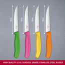 Victorinox Swiss Classic Stainless Steel Kitchen Knife Set-4 Pc with Storage Block, Multicolour
