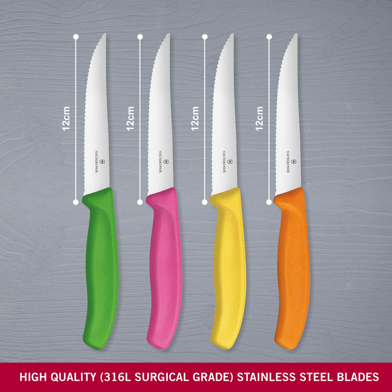 Victorinox Swiss Classic Stainless Steel Kitchen Knife Set-4 Pc with Storage Block, Multicolour