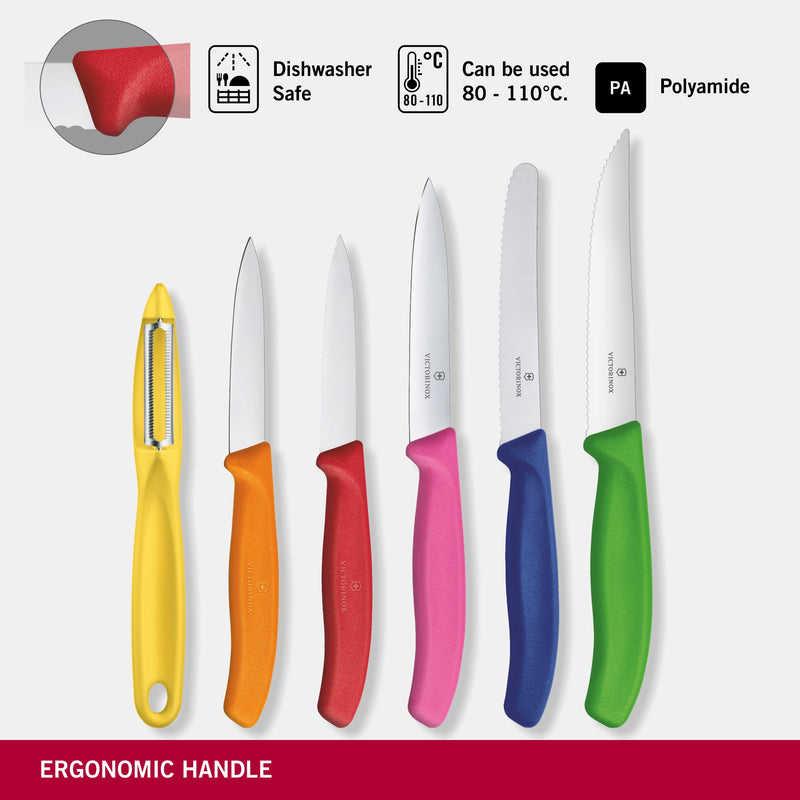 Victorinox Swiss Classic Stainless Steel Kitchen Knife Set-6 Pc with Storage Block, Multicolour