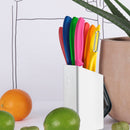 Victorinox Swiss Classic Stainless Steel Kitchen Knife Set-6 Pc with Storage Block, Multicolour