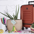 Victorinox Swiss Made, Stainless Steel Multipurpose Peeler, Serrated/Wavy Edge, Peel Tomato Kiwi