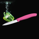 Victorinox Swiss Made Swiss Classic Kitchen Knife Set of 2-Straight Edge Knife & Universal Peeler,Pink